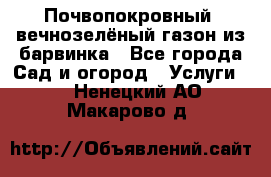 Почвопокровный, вечнозелёный газон из барвинка - Все города Сад и огород » Услуги   . Ненецкий АО,Макарово д.